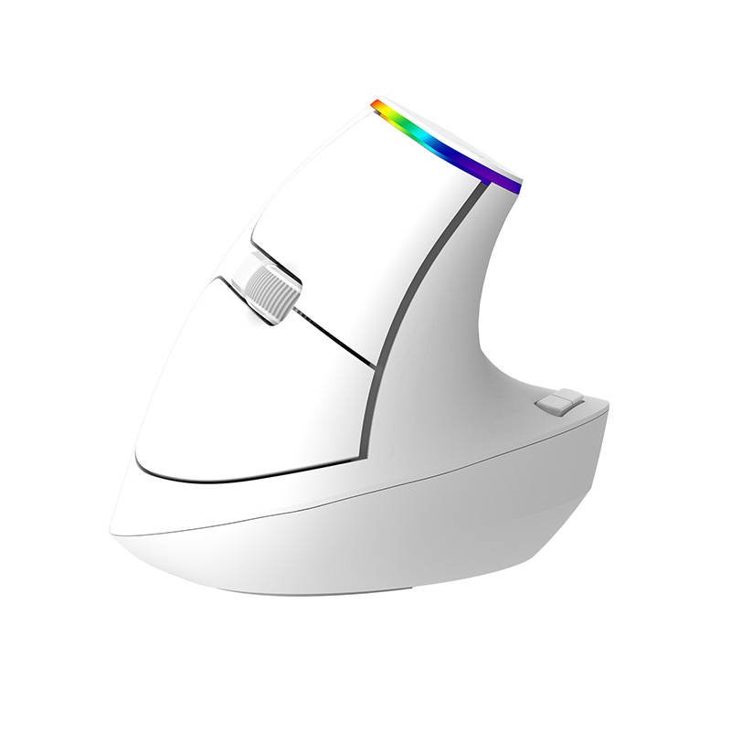 Juhtmevaba vertikaalne hiir Delux M618C 2.4G 1600DPI RGB (valge)