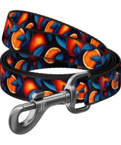 Nylon dog leash, pattern ''Oranges'' length 122 cm Waudog