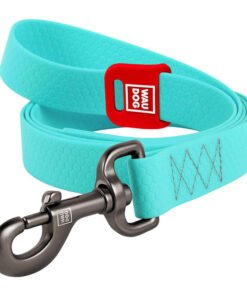 WAUDOG veekindel helendav koerarihm 25 mm lai, 183 cm pikk türkiissinine