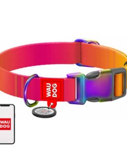 Nailonist koerakaelarihm QR-koodiga WAUDOG, 15 mm lai, 25-35 cm pikk, oranž