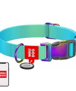Nailonist koerakaelarihm QR-koodiga WAUDOG, 15 mm lai, 25-35 cm pikk, sinine